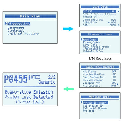 CMS0866E_13.jpg@066fcc21f73453f431602873f36920de