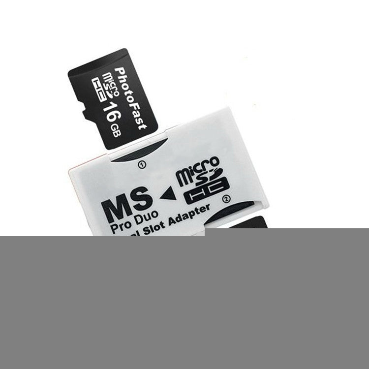 MC0065.jpg@93514aa5b03105eb6439e95b2e4eab37